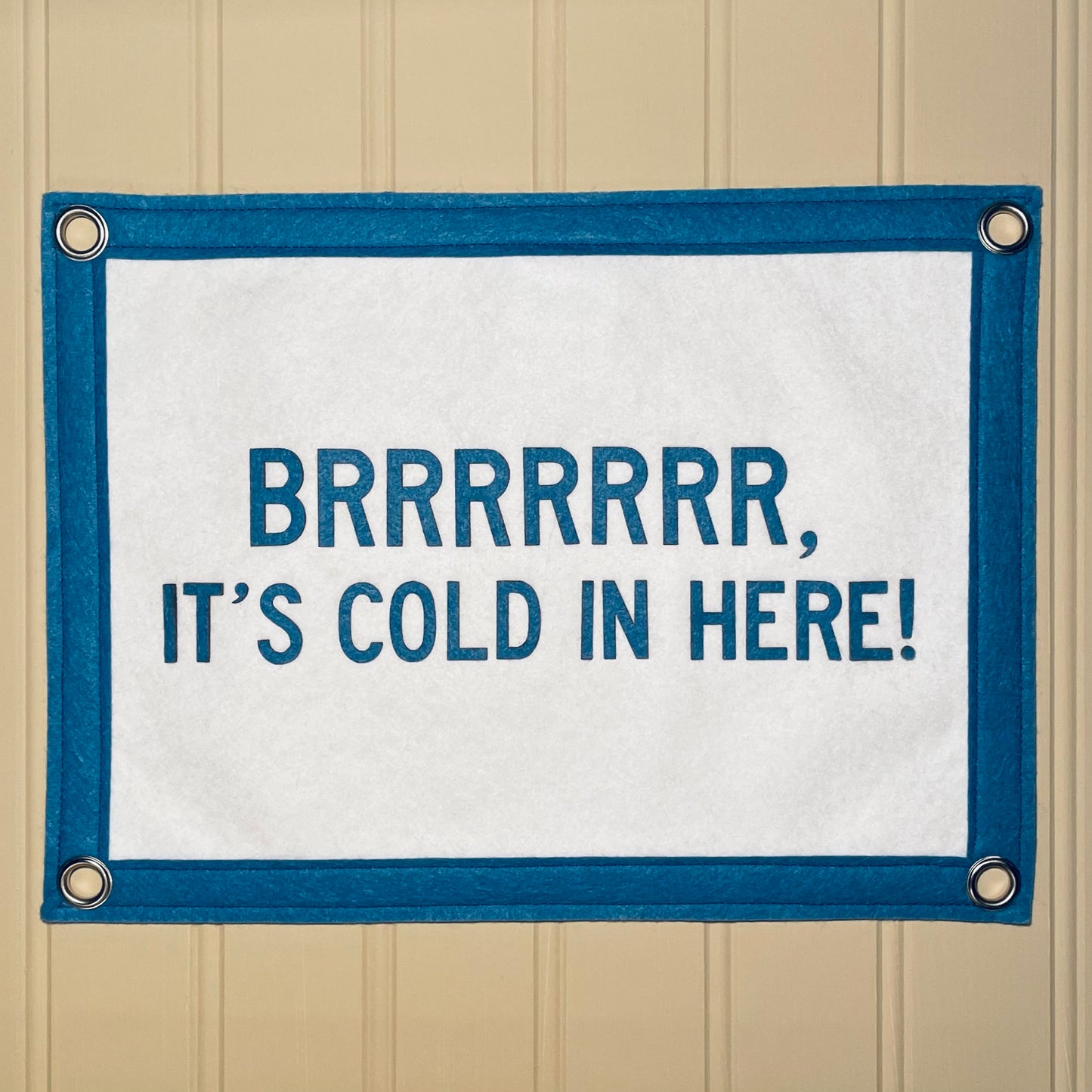 Brrrr, It's Cold In Here Pennant Flag