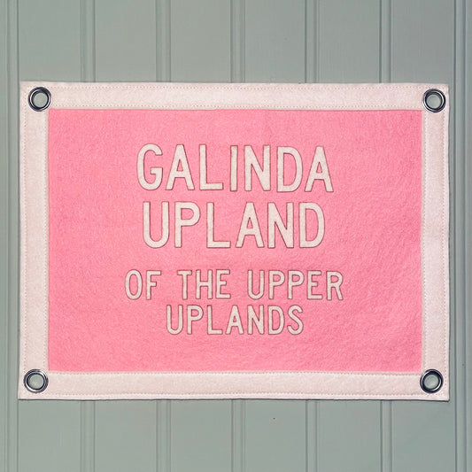 Galinda Upland Pennant Flag