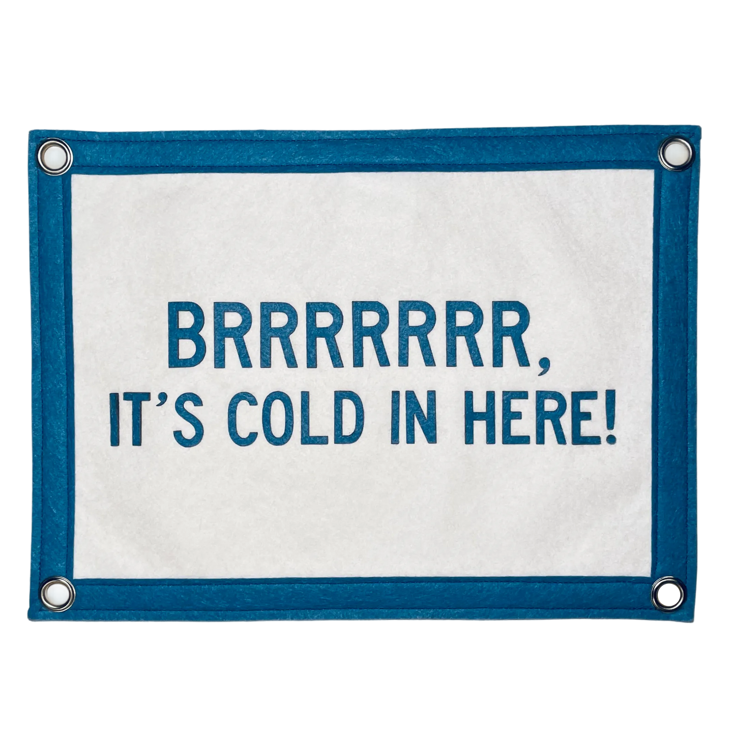 Brrrr, It's Cold In Here Pennant Flag