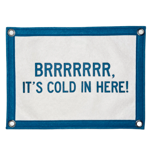 Brrrr, It's Cold In Here Pennant Flag