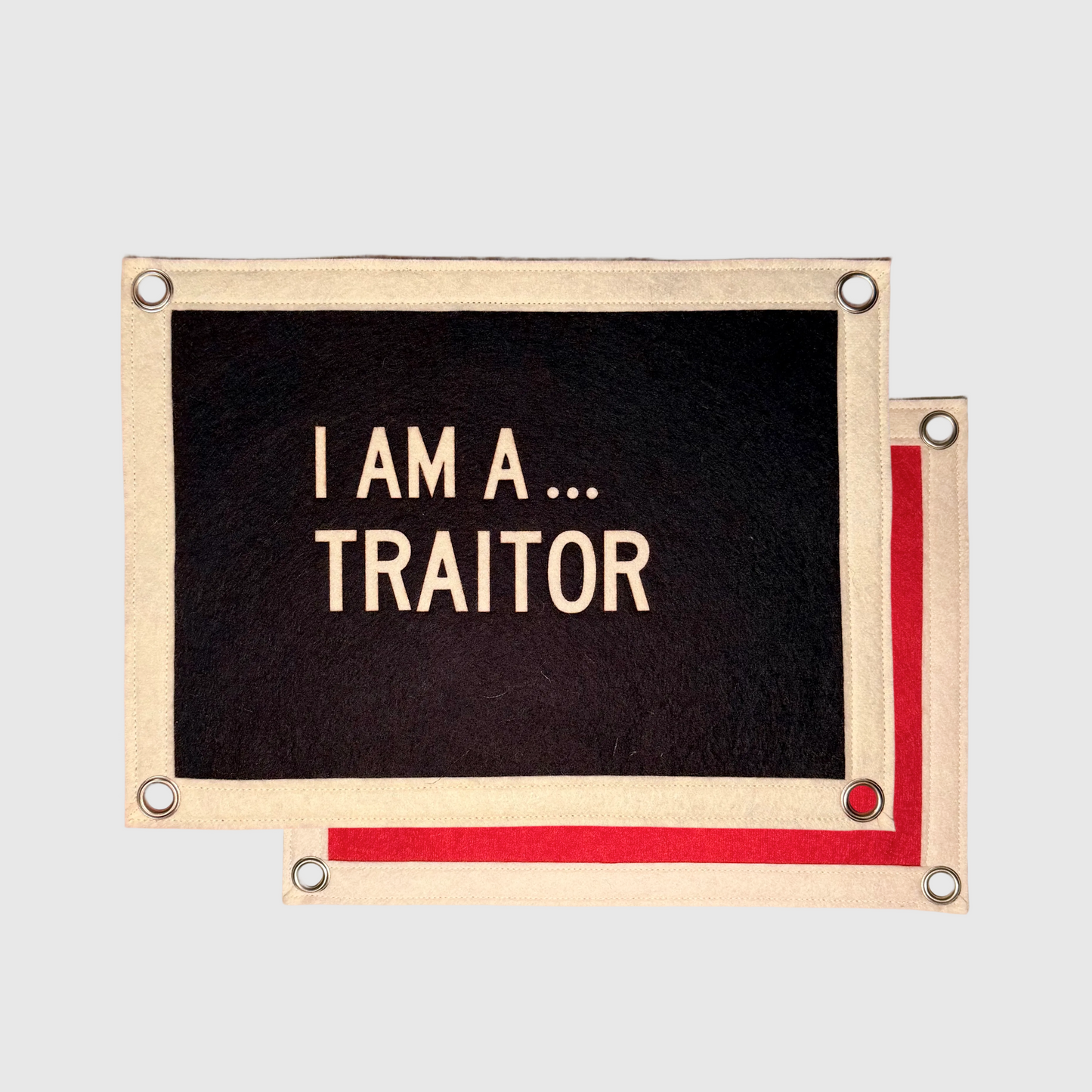 TRAITORS: I am a... Traitor Pennant Flag