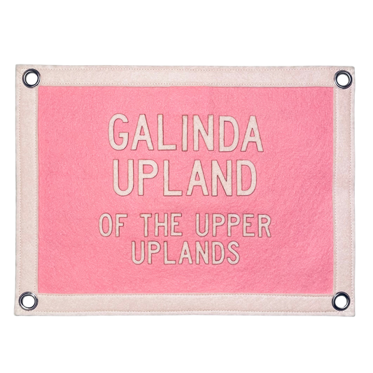 Galinda Upland Pennant Flag